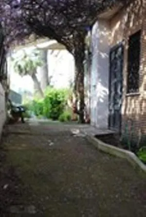 Otel Rosen 2*